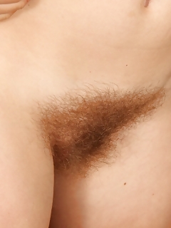 Aden Hairy Kitten