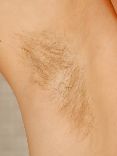 Jerry Hairy English Pussy